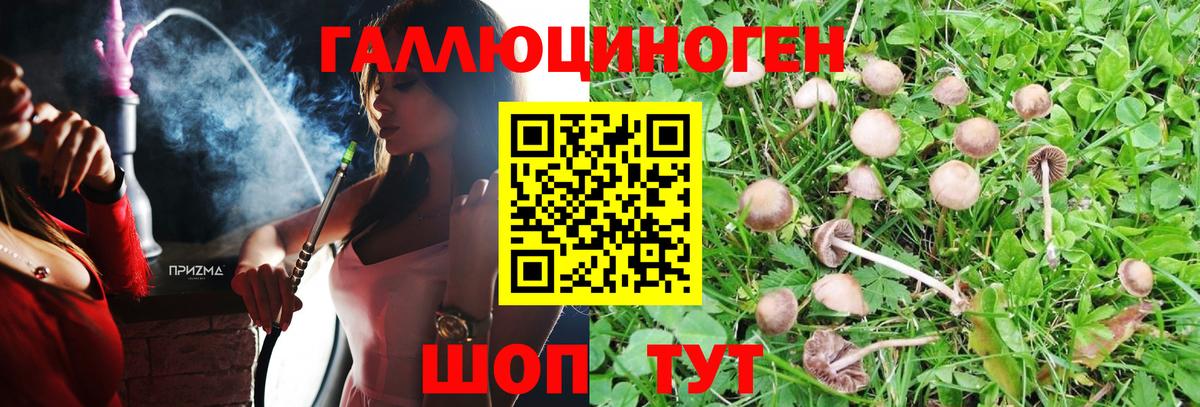 Галлюциногенные грибы мицелий  Вход с VPN  Мыски 